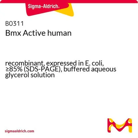Sigma-Aldrich Bmx Active human,重组体,在大肠杆菌中表达,≥85%(SDS-PAGE),甘油缓冲水溶液