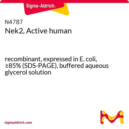 Sigma-Aldrich Nek2, Active human,重组体,在大肠杆菌中表达,≥85%(SDS-PAGE),甘油缓冲水溶液