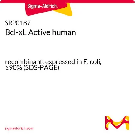Sigma-Aldrich Bcl-xL Active human，重组体，在大肠杆菌中表达，≥90%（SDS-PAGE）