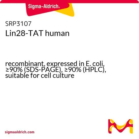 Sigma-Aldrich Lin28-TAT human,重组体,在大肠杆菌中表达,≥90%(SDS-PAGE),≥90%(HPLC),适用于细胞培养