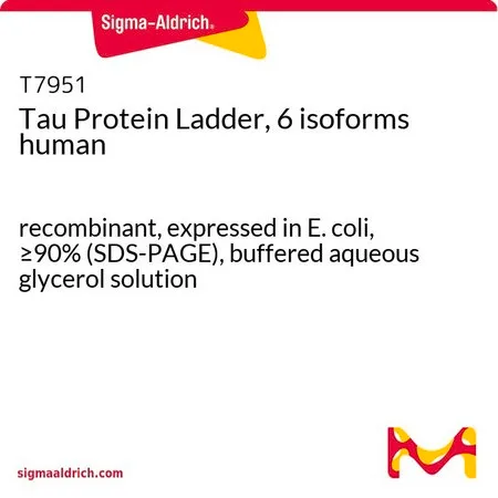 Sigma-Aldrich Tau 蛋白阶梯,6 种亚型,重组体,在大肠杆菌中表达,≥90%(SDS-PAGE),甘油缓冲水溶液