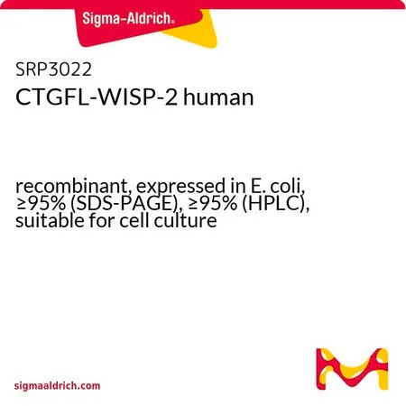 Sigma-Aldrich CTGFL-WISP-2 human,重组体,在大肠杆菌中表达,≥95%(SDS-PAGE),≥95%(HPLC),适用于细胞培养