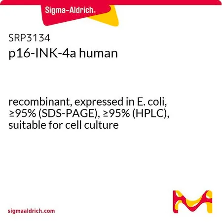 Sigma-Aldrich p16-INK-4a human,重组体,在大肠杆菌中表达,冻干,≥95%(SDS-PAGE),≥95%(HPLC),适用于哺乳动物细胞培养