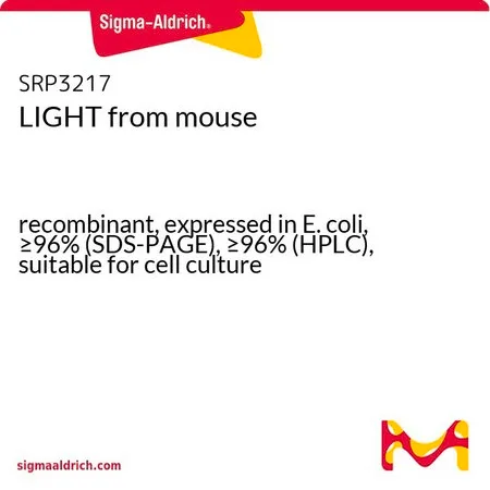 Sigma-Aldrich LIGHT 来源于小鼠,重组体,在大肠杆菌中表达,≥96%(SDS-PAGE),≥96%(HPLC),适用于细胞培养