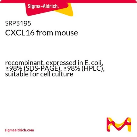 Sigma-Aldrich CXCL16 from mouse，重组体，在大肠杆菌中表达，≥98%（SDS-PAGE），≥98%（HPLC），适用于细胞培养