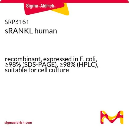 Sigma-Aldrich sRANKL 人，重组体，在大肠杆菌中表达，≥98%（SDS-PAGE），≥98%（HPLC），适用于细胞培养