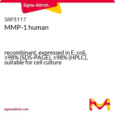 Sigma-Aldrich MMP-1 人,重组体,在大肠杆菌中表达,≥98%(SDS-PAGE),≥98%(HPLC),适用于细胞培养