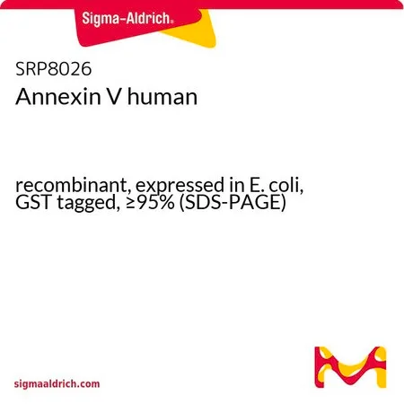 Sigma-Aldrich Annexin V human，重组体，在大肠杆菌中表达，GST标记，≥95%（SDS-PAGE）