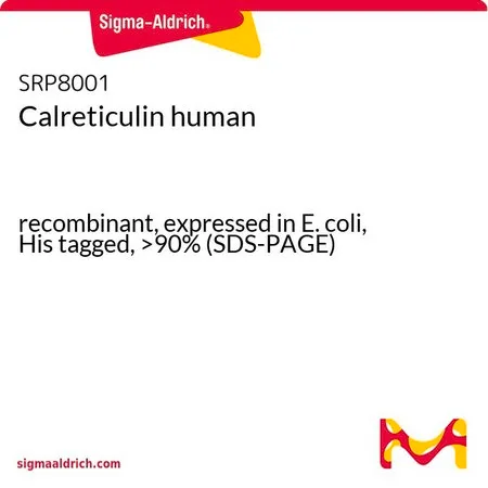 Sigma-Aldrich Calreticulin human,重组体,在大肠杆菌中表达,带His标签,>90%(SDS-PAGE)