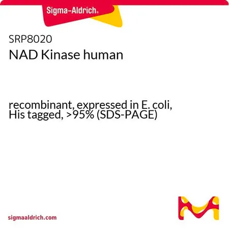 Sigma-Aldrich NAD Kinase human,重组体,在大肠杆菌中表达,带His标签,>95%(SDS-PAGE)