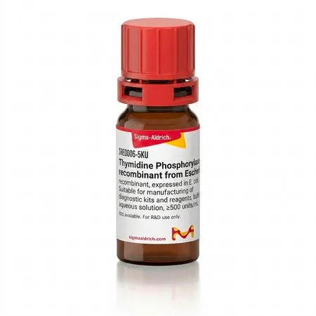 Sigma-Aldrich 胸苷磷酸化酶,重组 来源于大肠杆菌,重组体,在大肠杆菌中表达,适用于生产诊断试剂盒和试剂,缓冲水溶液,≥500单位/mL