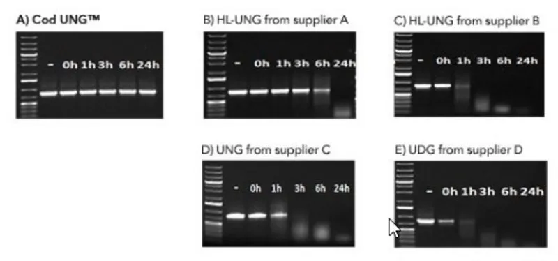 Sigma-Aldrich Heat-labile Cod Uracil-DNA Glycosylase,重组体,在大肠杆菌中表达,不含Triton