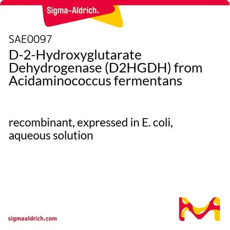 Sigma-Aldrich 来自发酵酸氨基球菌的D-2-羟基戊二酸脱氢酶(D2HGDH),重组体,在大肠杆菌中表达,水溶液