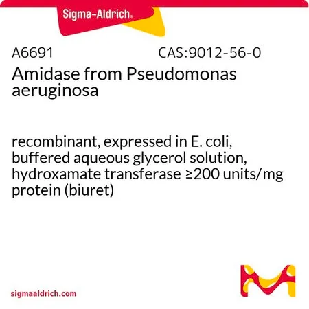 Sigma-Aldrich 酰胺酶 来源于绿脓假单胞菌,重组,在大肠杆菌中表达,甘油缓冲水溶液,异羟肟酸转移酶≥200单位/mg蛋白(双缩脲)