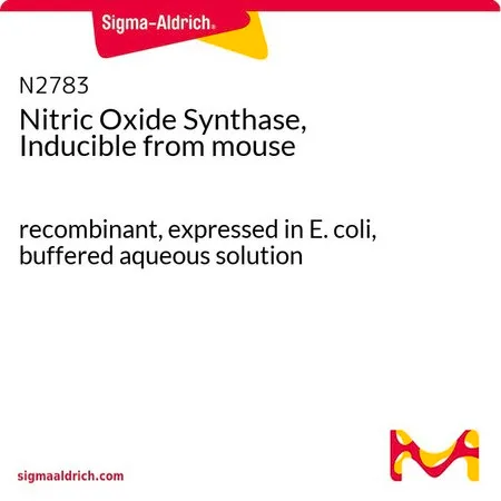 Sigma-Aldrich 诱导型一氧化氮合酶 来源于小鼠,重组体,在大肠杆菌中表达,缓冲水溶液