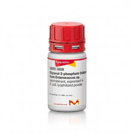 Sigma-Aldrich Glycerol 3-phosphate Oxidase from Enterococcus sp.，重组体，在大肠杆菌中表达，冻干粉末