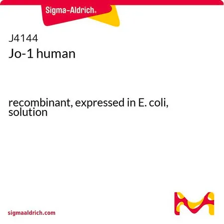 Sigma-Aldrich Jo-1 human,重组体,在大肠杆菌中表达,溶液
