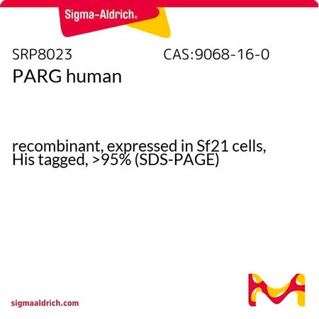 Sigma-Aldrich PARG human,重组,在Sf 21细胞中表达,His标记,>95%(SDS-PAGE)