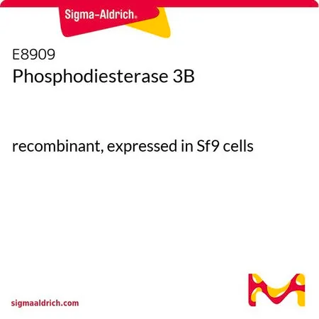 Sigma-Aldrich Phosphodiesterase 3B,重组体,在Sf 9细胞中表达