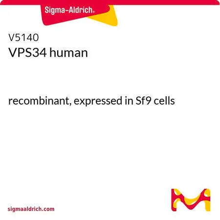 Sigma-Aldrich VPS34 human,重组体,在Sf 9细胞中表达