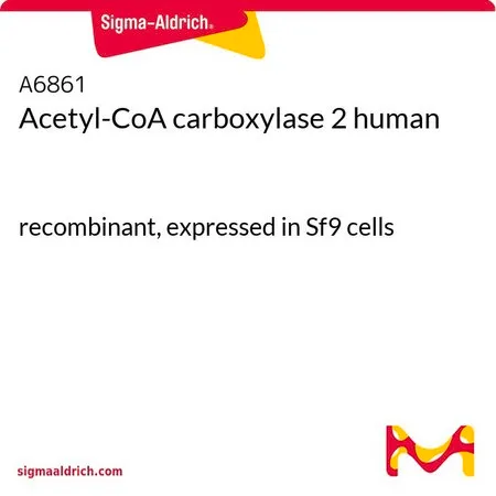 Sigma-Aldrich Acetyl-CoA carboxylase 2 human,重组体,在Sf 9细胞中表达