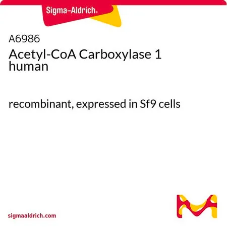Sigma-Aldrich 乙酰辅酶 A 羧化酶 1 人,重组体,在Sf 9细胞中表达