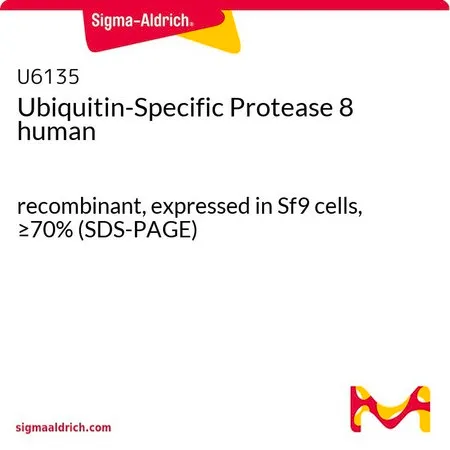 Sigma-Aldrich Ubiquitin-Specific Protease 8 human,重组,在Sf 9细胞中表达,≥70%(SDS-PAGE)