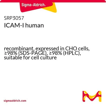 Sigma-Aldrich ICAM-I human,重组,在CHO细胞中表达,≥98%(SDS-PAGE),≥98%(HPLC),适用于细胞培养