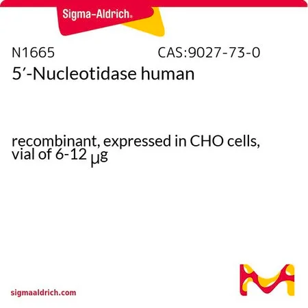 Sigma-Aldrich 5′-核苷酸酶 人,重组,在CHO细胞中表达,6 - 12 μ g小瓶