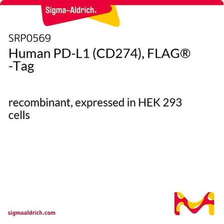Sigma-Aldrich Human PD-L1 (CD274), FLAG® -Tag,重组,在HEK 293细胞中表达