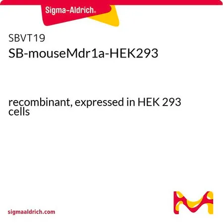 Sigma-Aldrich SB-mouseMdr1a-HEK293,重组,在HEK 293细胞中表达