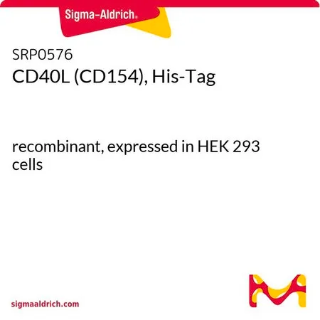 Sigma-Aldrich CD40L (CD154), His-Tag,重组,在HEK 293细胞中表达