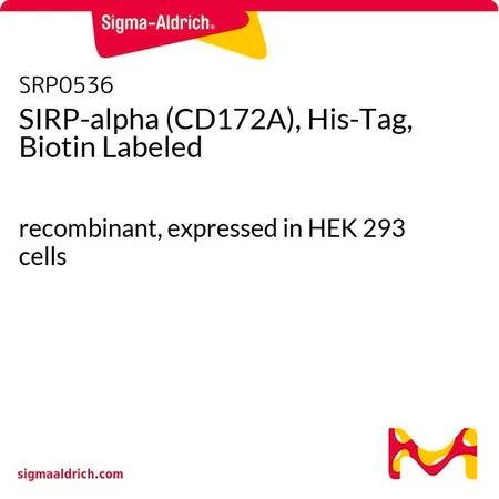 Sigma-Aldrich SIRP-alpha (CD172A), His-Tag, Biotin Labeled,重组,在HEK 293细胞中表达