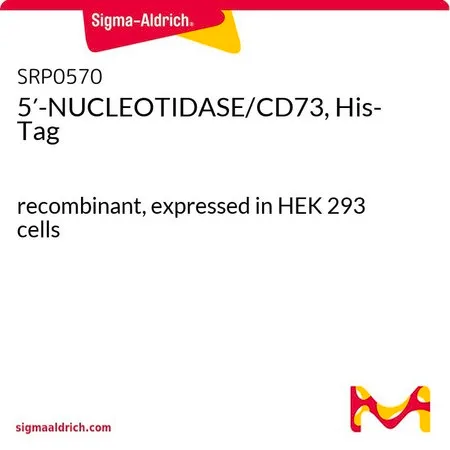 Sigma-Aldrich 5′-NUCLEOTIDASE/CD73, His-Tag,重组,在HEK 293细胞中表达