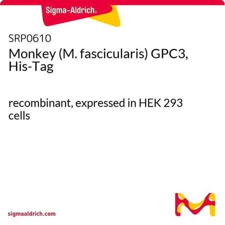 Sigma-Aldrich Monkey (M. fascicularis) GPC3, His-Tag,重组,在HEK 293细胞中表达