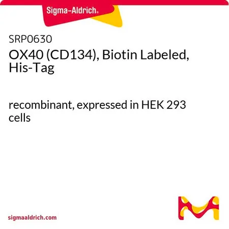 Sigma-Aldrich OX40 (CD134), Biotin Labeled, His-Tag,重组,在HEK 293细胞中表达
