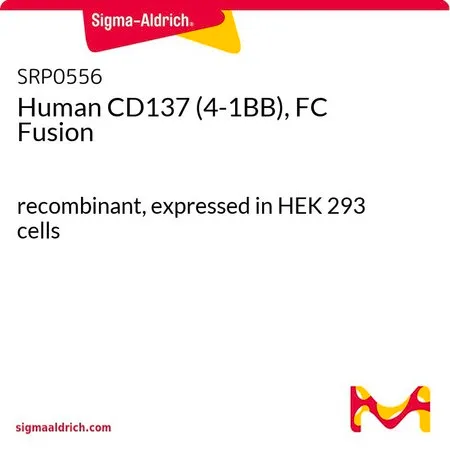 Sigma-Aldrich Human CD137 (4-1BB), FC Fusion,重组,在HEK 293细胞中表达