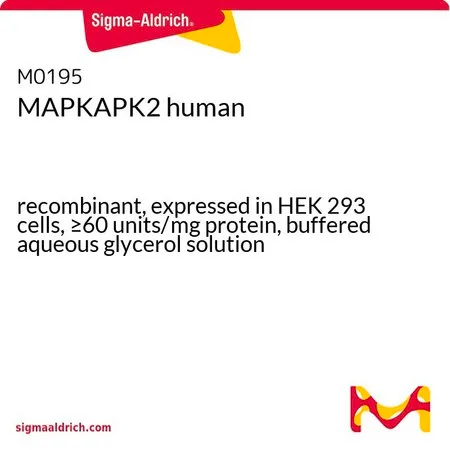 Sigma-Aldrich MAPKAPK2,重组体,在HEK 293细胞中表达,≥60单位/mg蛋白,甘油缓冲水溶液
