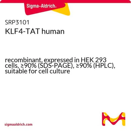 Sigma-Aldrich KLF4-TAT human,重组体,在HEK 293细胞中表达,≥90%(SDS-PAGE),≥90%(HPLC),适用于细胞培养