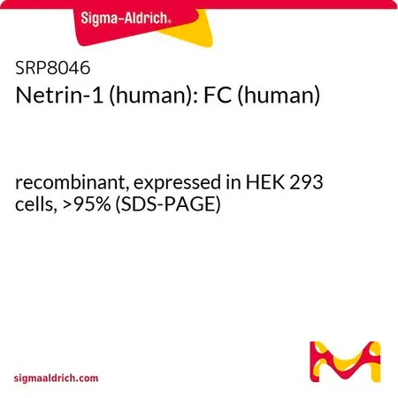 Sigma-Aldrich Netrin-1 (human): FC (human),重组体,在HEK 293细胞中表达,>95%(SDS-PAGE)
