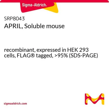 Sigma-Aldrich APRIL, Soluble mouse,重组体,在HEK 293细胞中表达,FLAG®标记,>95%(SDS-PAGE)