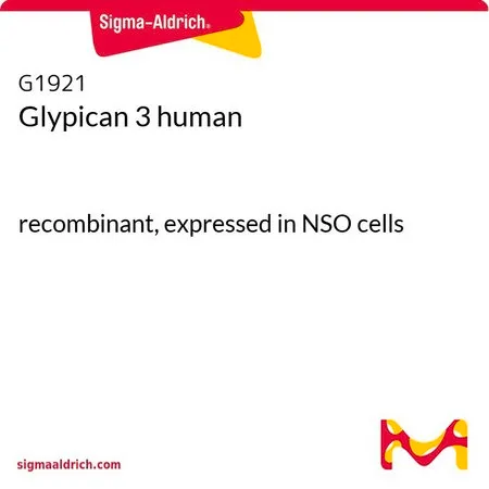 Sigma-Aldrich 磷脂酰肌醇蛋白聚糖 3,重组,在NSO细胞中表达