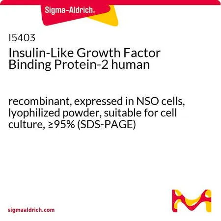 Sigma-Aldrich Insulin-Like Growth Factor Binding Protein-2 human,重组体,在NS0细胞中表达,冻干粉末,适用于细胞培养,≥95%(SDS-PAGE)