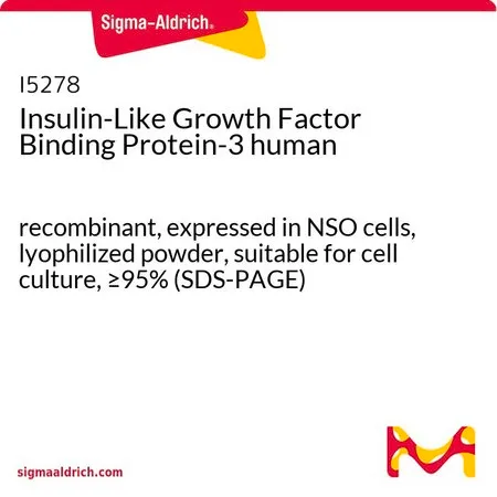 Sigma-Aldrich Insulin-Like Growth Factor Binding Protein-3 human,重组体,在NS0细胞中表达,冻干粉末,适用于细胞培养,≥95%(SDS-PAGE)