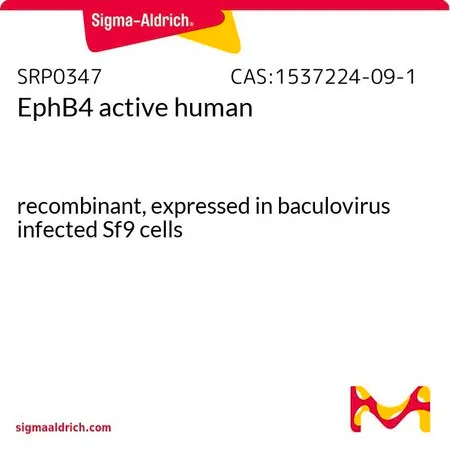Sigma-Aldrich EphB4 active human,重组体,在杆状病毒感染的Sf 9细胞中表达