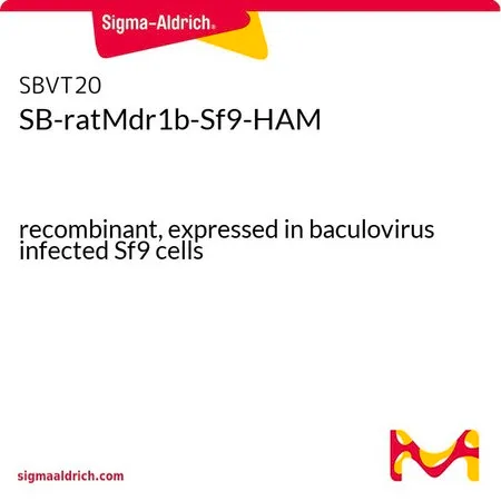 Sigma-Aldrich SB-ratMdr1b-Sf9-HAM，重组体，在杆状病毒感染的Sf 9细胞中表达