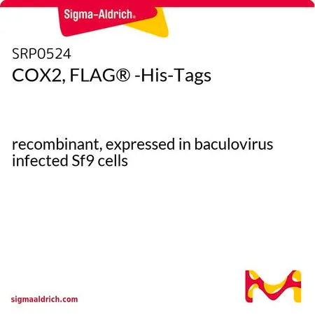 Sigma-Aldrich COX2, FLAG® -His-Tags，重组体，在杆状病毒感染的Sf 9细胞中表达