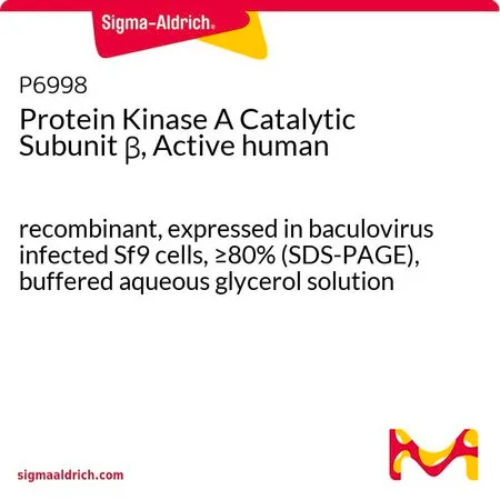 Sigma-Aldrich Protein Kinase A Catalytic Subunit β, Active human,重组,在杆状病毒感染的Sf 9细胞中表达,≥80%(SDS-PAGE),甘油缓冲水溶液
