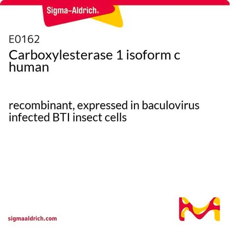 Sigma-Aldrich 羧基酯酶1异构体c 人,重组体,在杆状病毒感染的BTI昆虫细胞中表达
