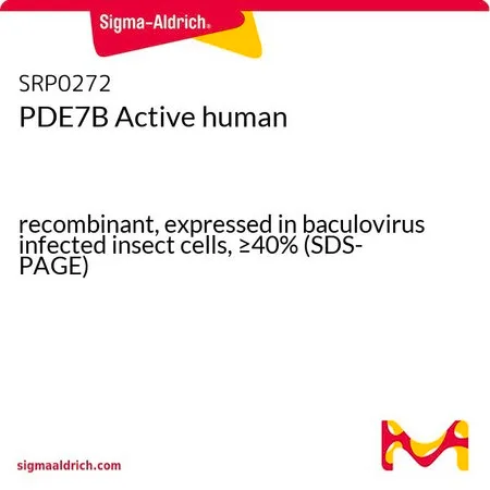 Sigma-Aldrich PDE7B Active human,重组,在杆状病毒感染的昆虫细胞中表达,≥40%(SDS-PAGE)